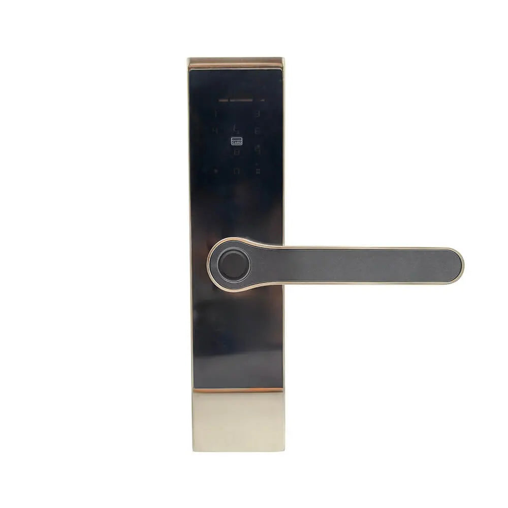 Silver smart door lock