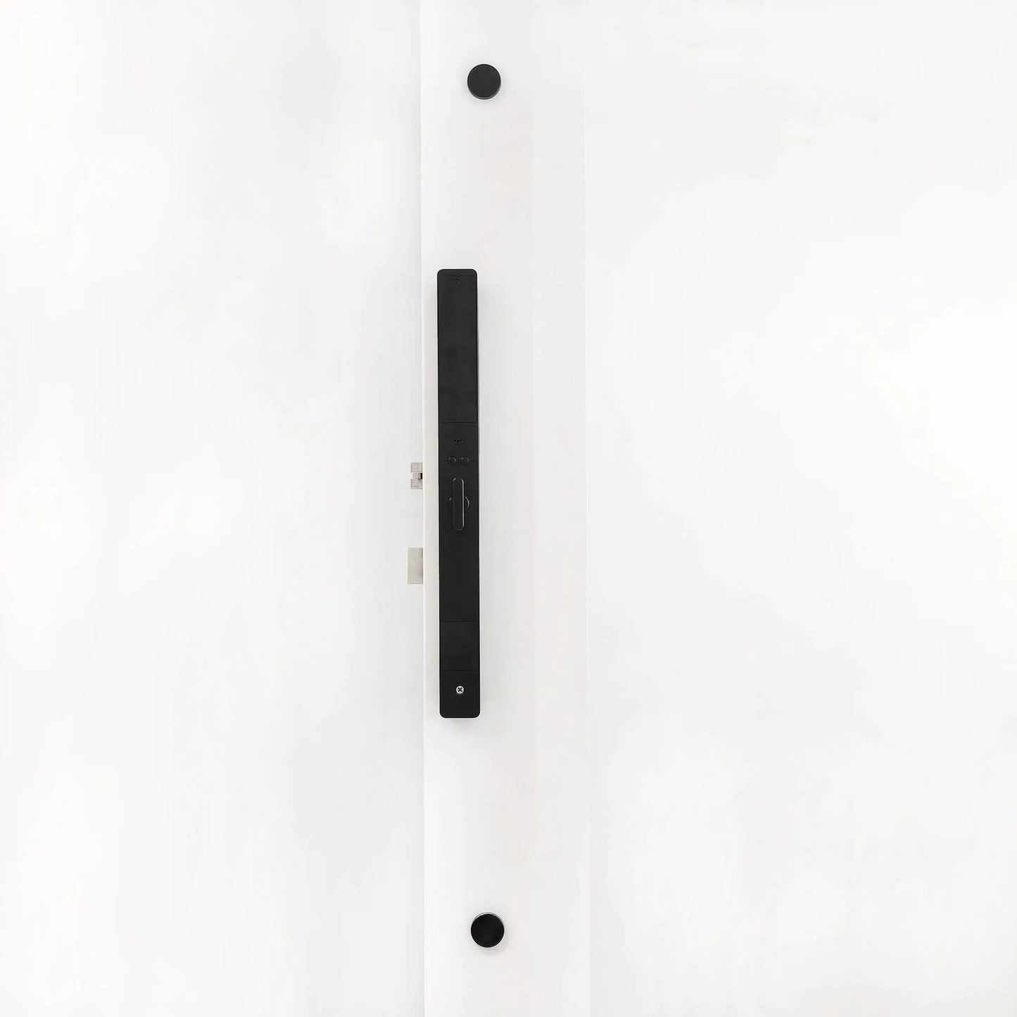 Stainless Steel Smart Door Handle Pull Back Picture