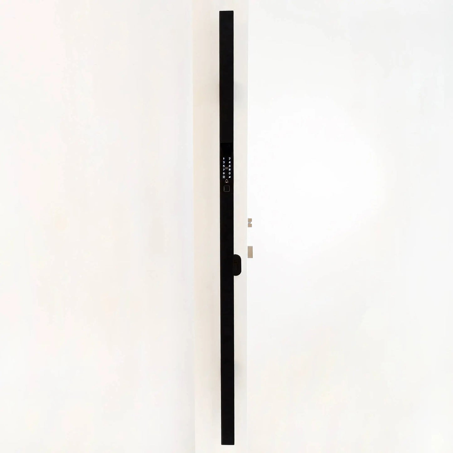 Stainless Steel Smart Door Handle Pull Installation Effect Picture