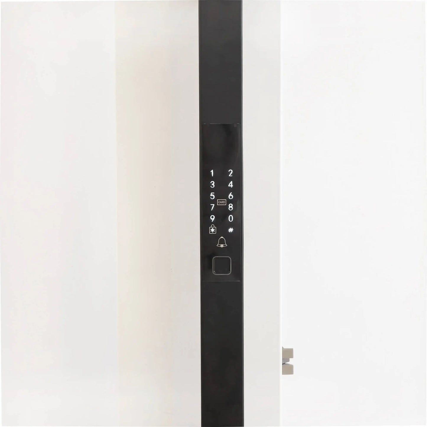Stainless Steel Smart Door Handle Pull Positive direction Picture
