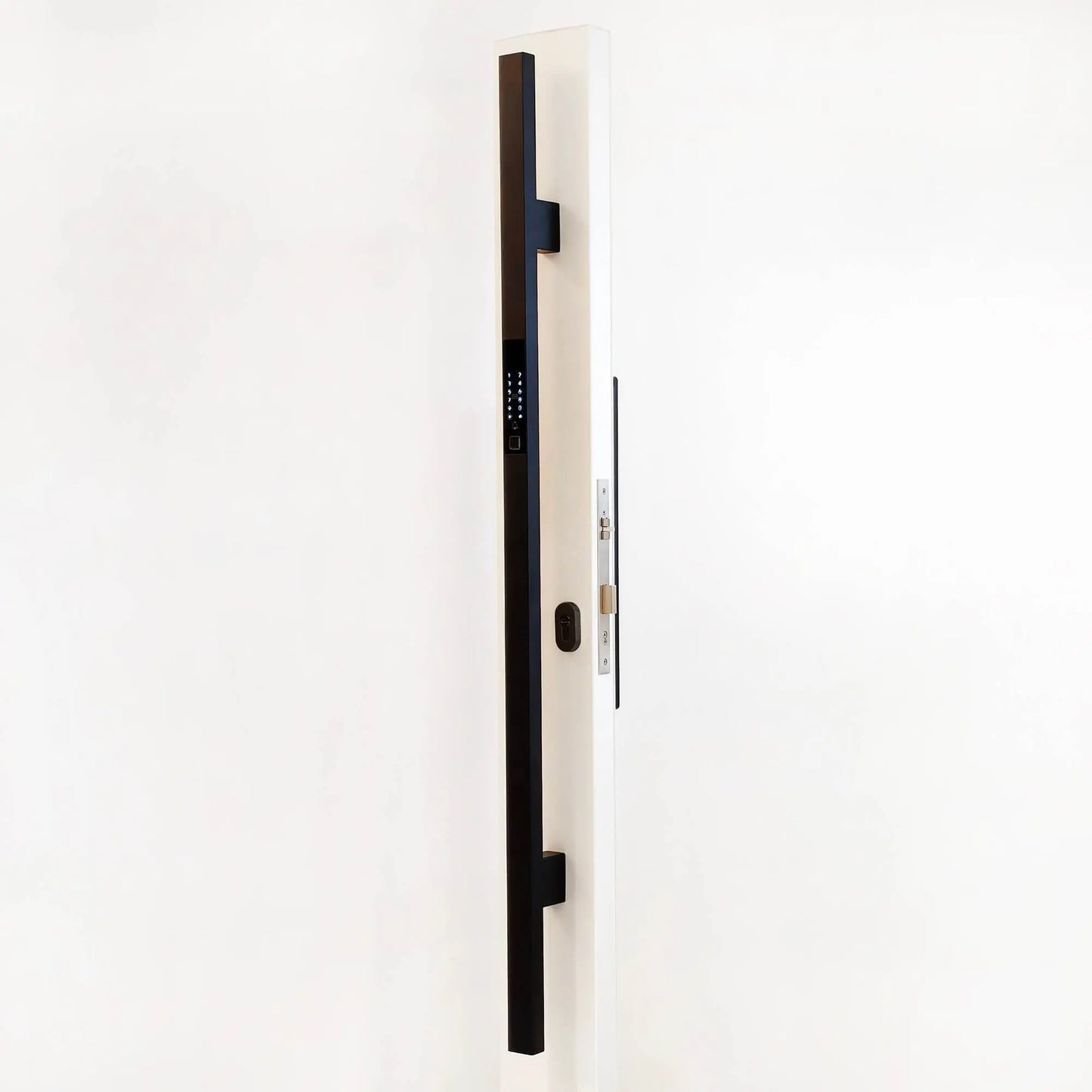 Stainless Steel Smart Door Handle Pull Main Picture