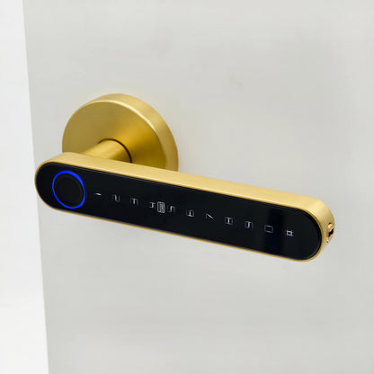 Orbicular Rosette Smart Handle Lock in Satin Brass