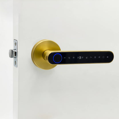 Orbicular Rosette Smart Handle Lock in Satin Brass