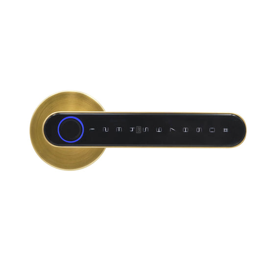 Orbicular Rosette Smart Handle Lock in Satin Brass