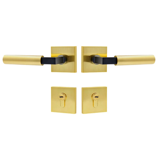 two-tone-door-handle-set