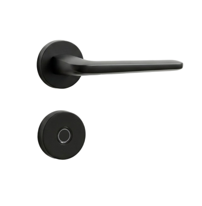 Smart Door Handle Set
