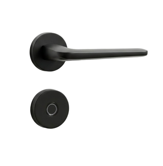 Smart Door Handle Set