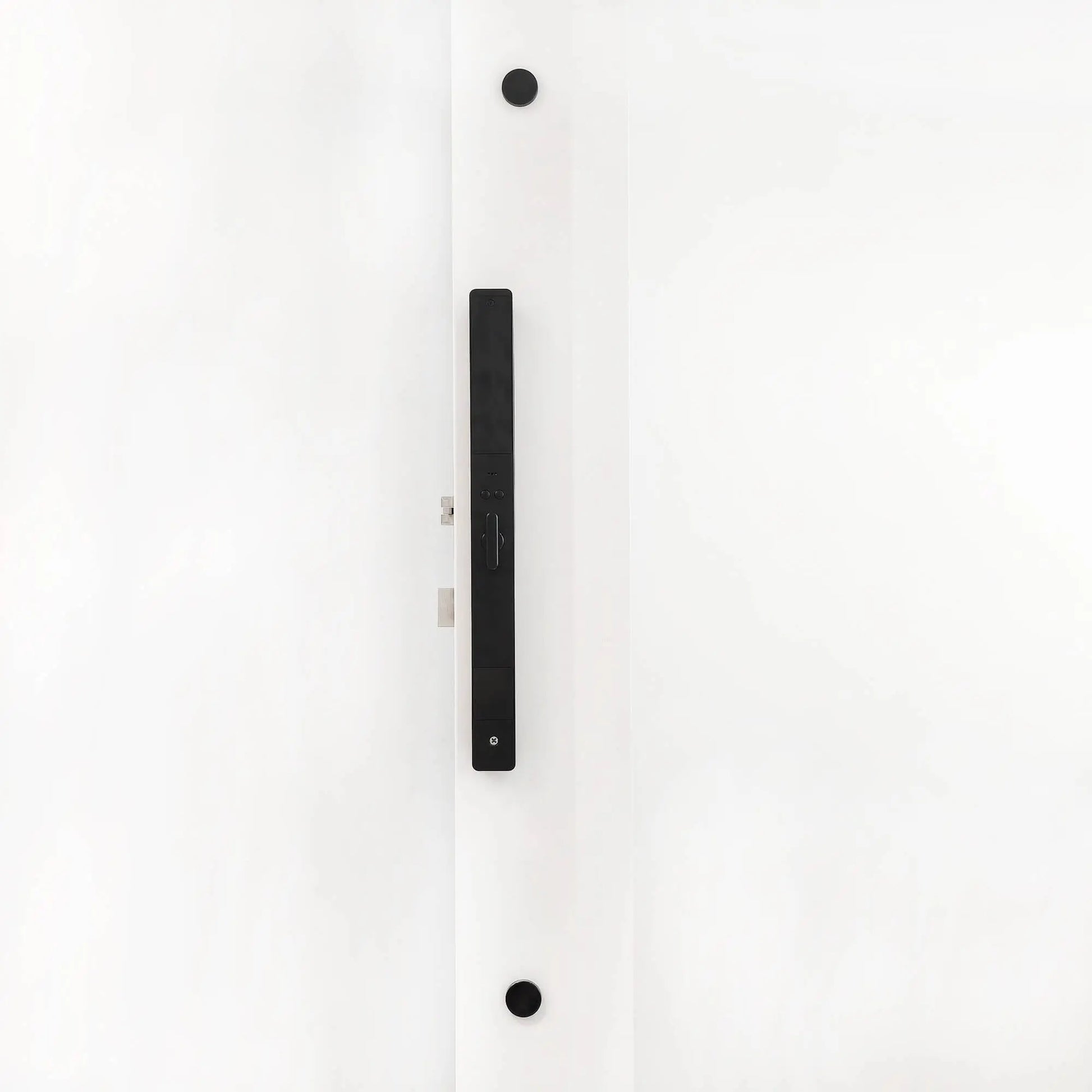 Stainless Steel Smart Door Handle Pull Back Picture