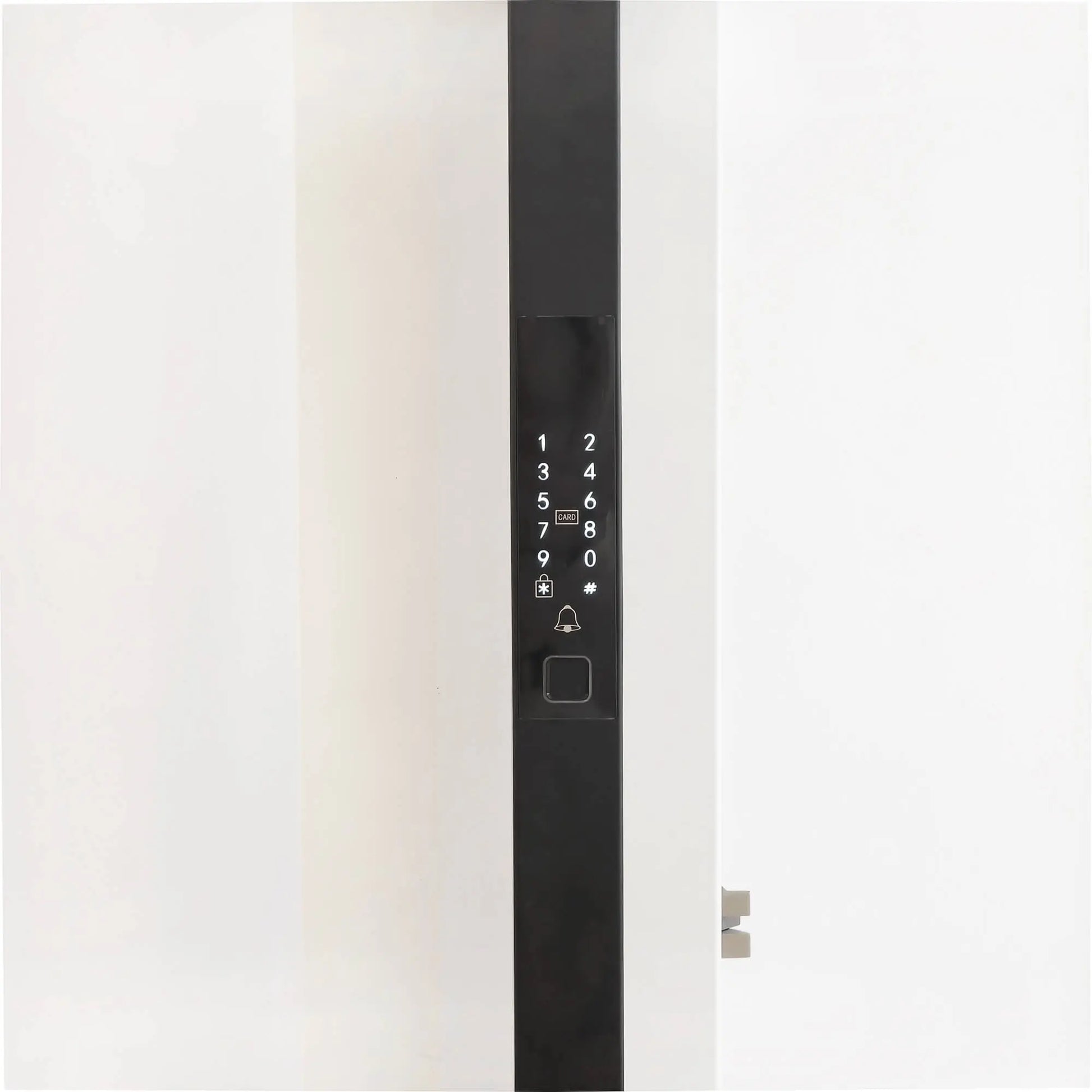 Stainless Steel Smart Door Handle Pull Positive direction Picture