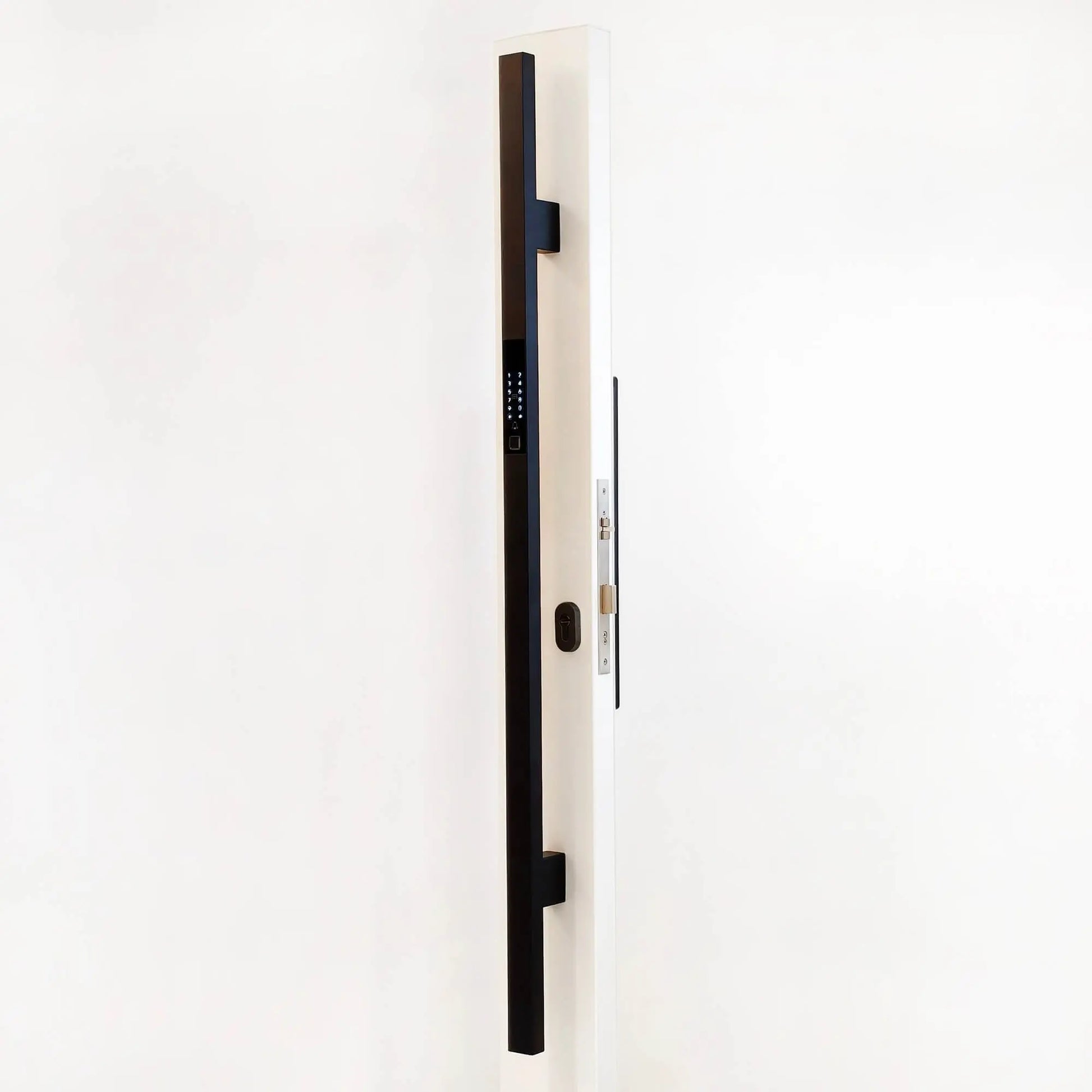 Stainless Steel Smart Door Handle Pull Main Picture