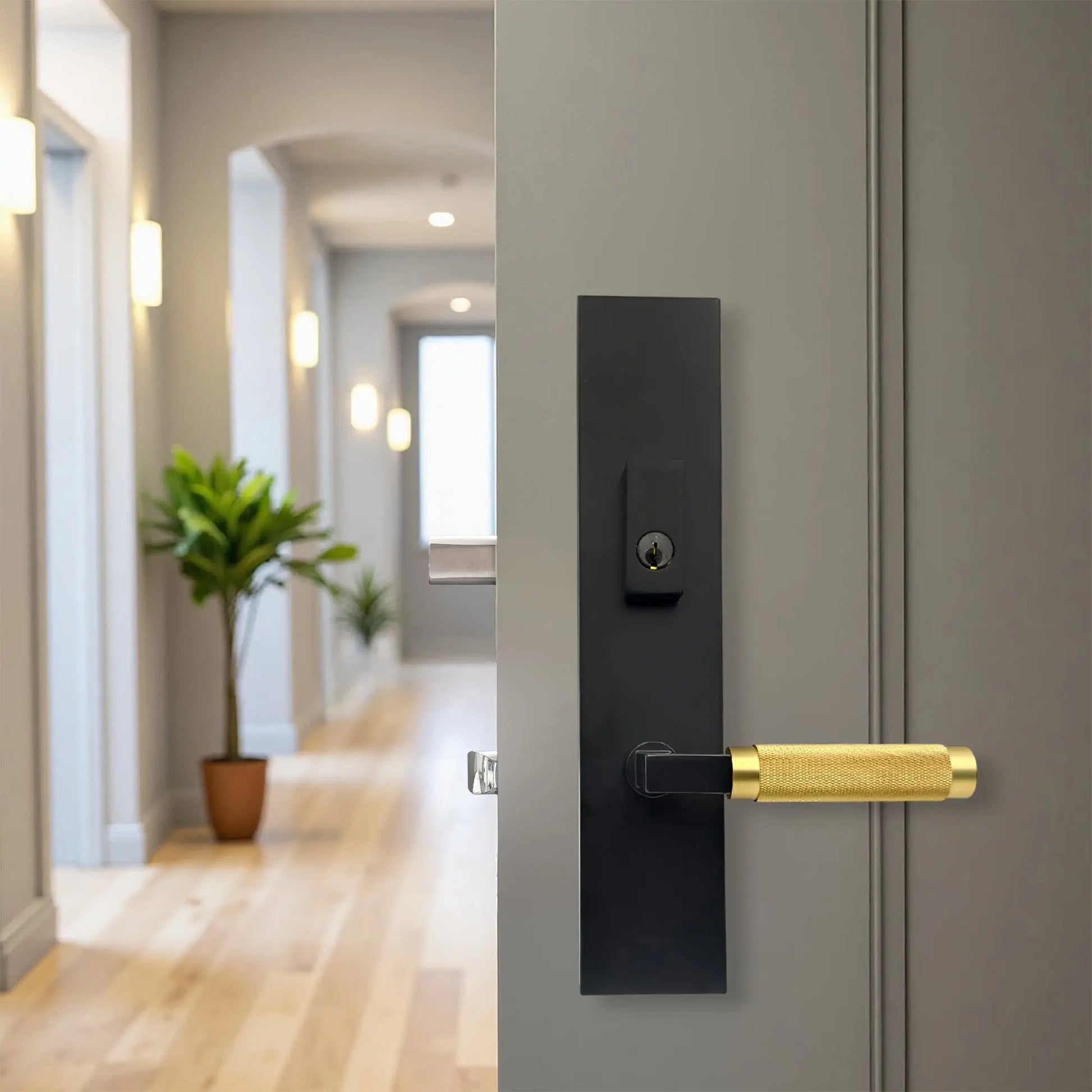 entry door handle set